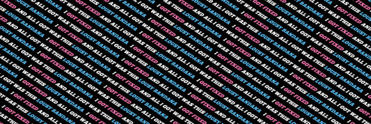 All I Got Was This Lousy Pet Bandana